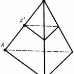 Перерізи піраміди площиною, що паралельна основі